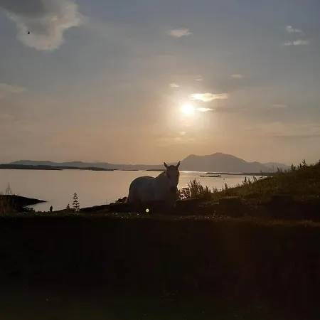 The Olde Castle Bed & Breakfast Renvyle