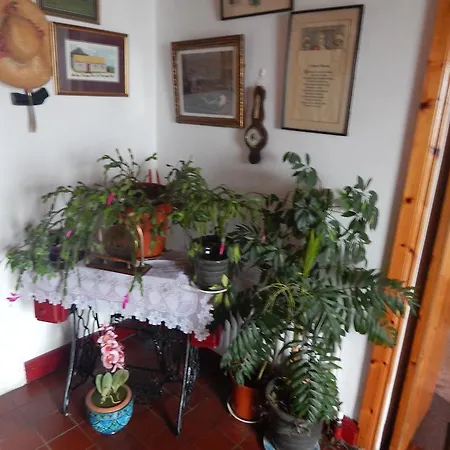 The Olde Castle Bed & Breakfast 3*