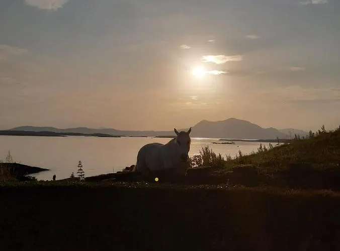 The Olde Castle Bed & Breakfast Renvyle