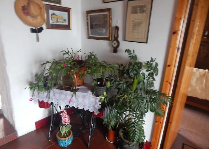 The Olde Castle Bed & Breakfast 3*